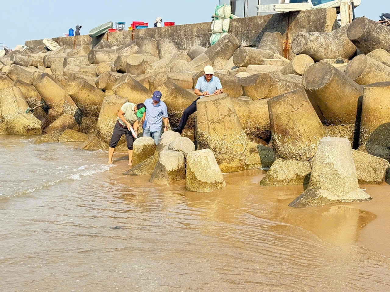 Tái chế thành công xỉ thép Formosa thành cốt liệu cho bê tông phục vụ công trình bảo vệ bờ biển