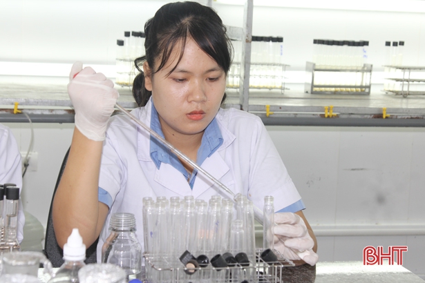 Nữ kỹ sư trẻ Hà Tĩnh làm lợi hàng tỷ đồng cho doanh nghiệp