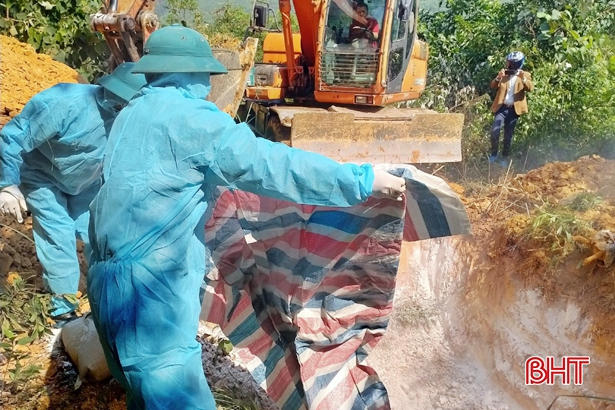 Nguy cơ bùng phát dịch tả lợn châu Phi sau lũ, Hà Tĩnh siết chặt công tác phòng, chống