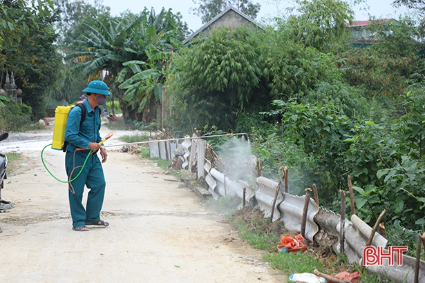 Nguy cơ bùng phát dịch tả lợn châu Phi sau lũ, Hà Tĩnh siết chặt công tác phòng, chống