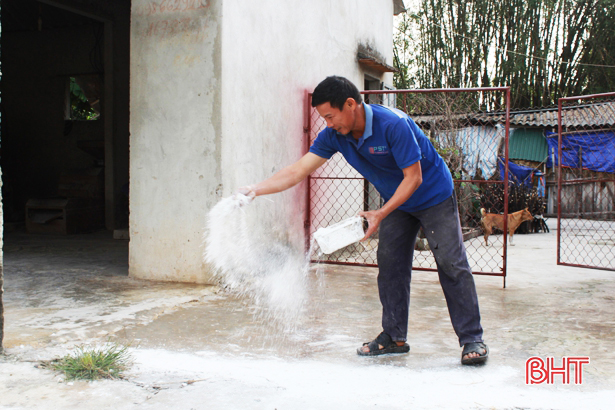 Nguy cơ bùng phát dịch tả lợn châu Phi sau lũ, Hà Tĩnh siết chặt công tác phòng, chống